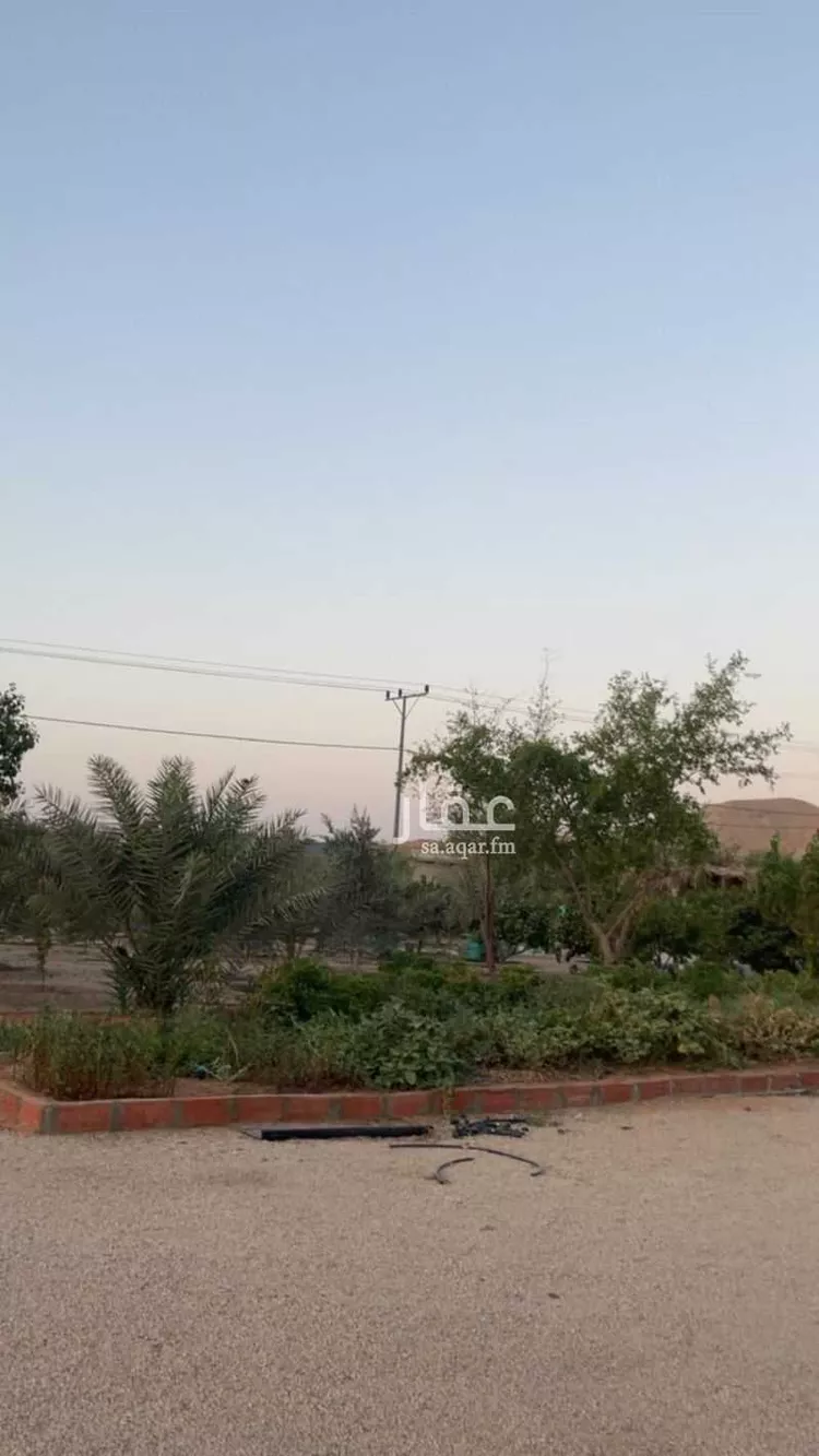 مزرعة للبيع في مدينة سدير جمل, منطقة الرياض صورة 4