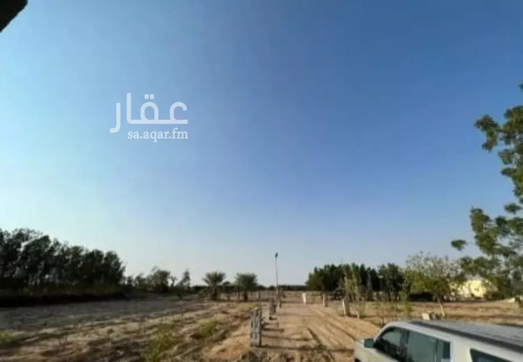 مزرعة للبيع في شارع سمية بنت خياط, حي الصنيدلى, مدينة الصنيدلى, منطقة جازان