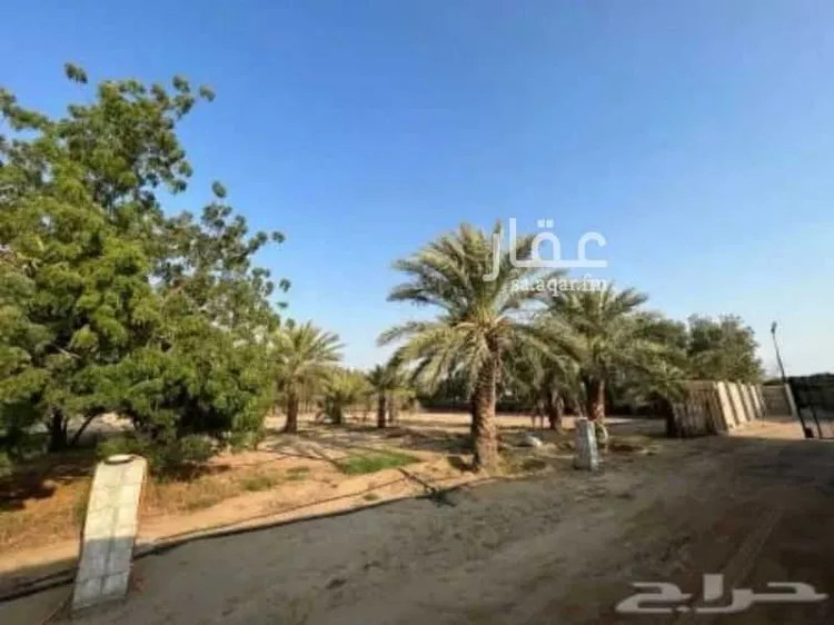 مزرعة للبيع في شارع سمية بنت خياط, حي الصنيدلى, مدينة الصنيدلى, منطقة جازان صورة 4