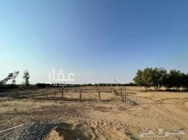مزرعة للبيع في شارع سمية بنت خياط, حي الصنيدلى, مدينة الصنيدلى, منطقة جازان 13