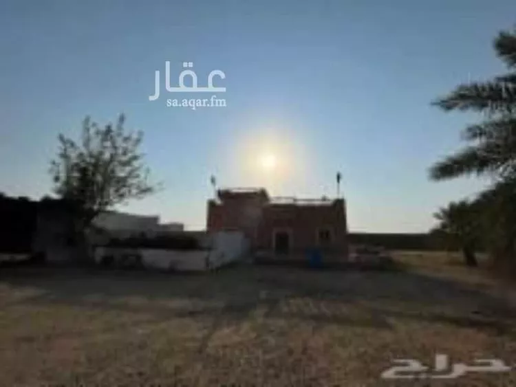 مزرعة للبيع في شارع سمية بنت خياط, حي الصنيدلى, مدينة الصنيدلى, منطقة جازان 6