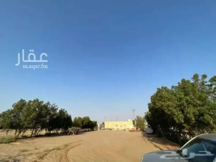 مزرعة للبيع في شارع سمية بنت خياط, حي الصنيدلى, مدينة الصنيدلى, منطقة جازان صورة 2