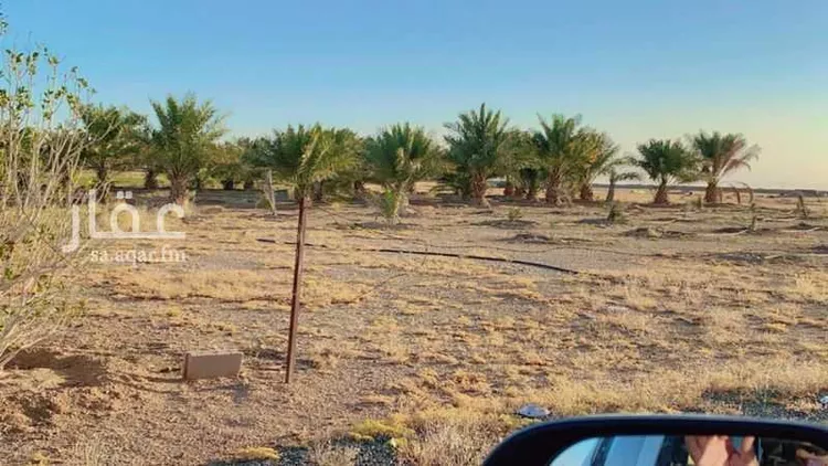 أرض للبيع في خشيبي الحضر ، بريدة صورة 3