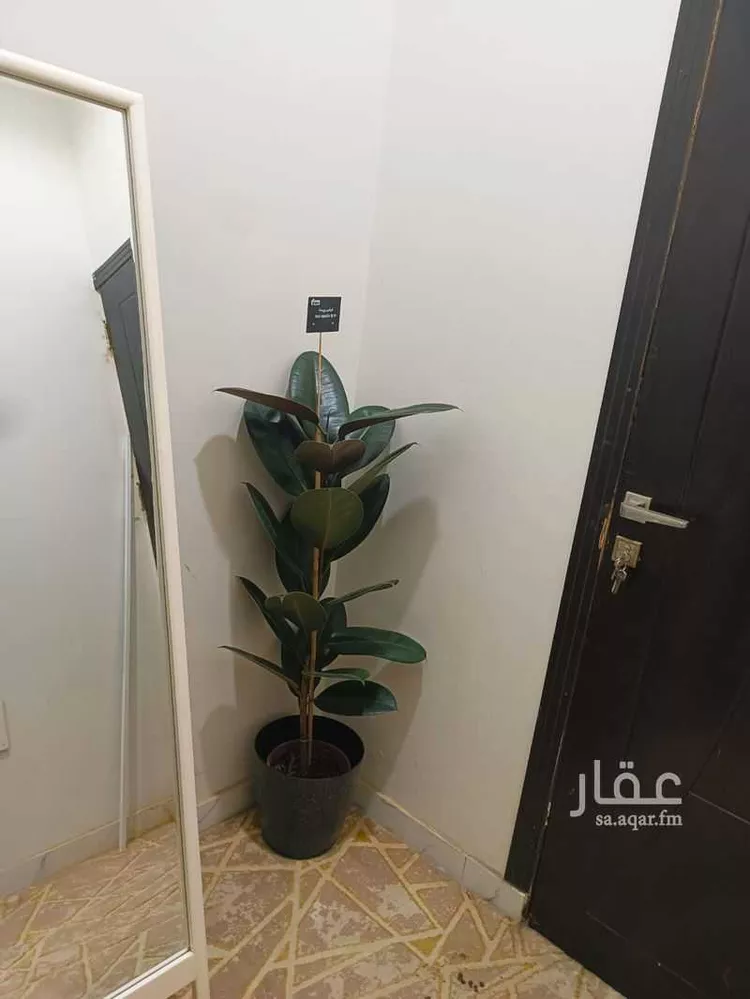 شقة للإيجار في شارع عبدالله بن عباس, حي السويس 2, مدينة جازان, منطقة جازان صورة 2