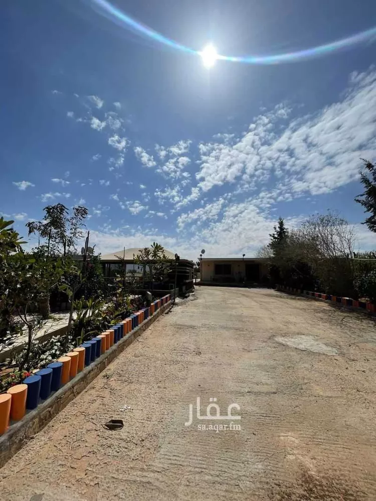 مزرعة للبيع في شارع المعتصم بالله, حي المستشفى الجامعي, مدينة المجمعه, منطقة الرياض صورة 3