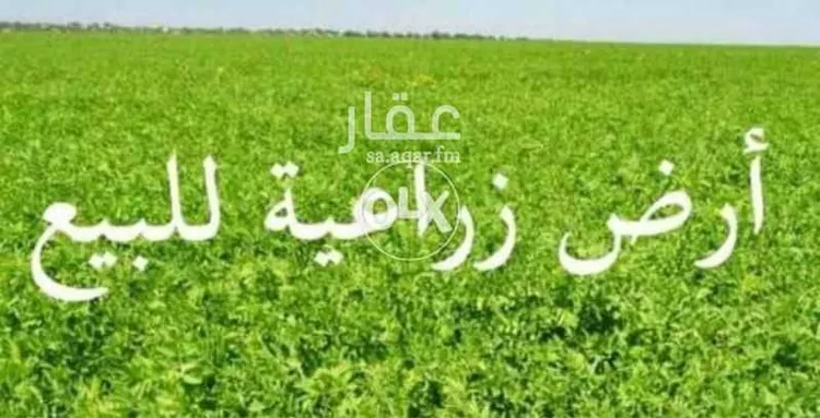 أرض للبيع في مدينة ضرما, منطقة الرياض