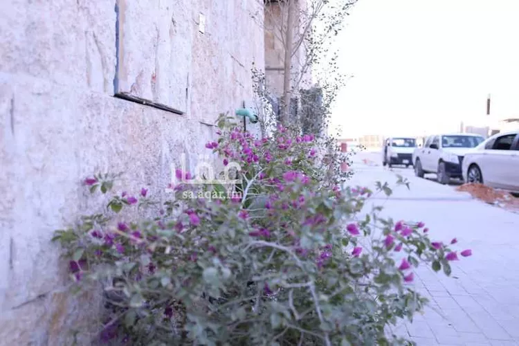 فيلا للإيجار في حي النرجس ، الرياض ، منطقة الرياض صورة 2