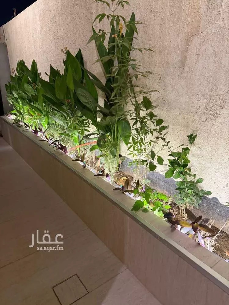 شقة للإيجار في شارع الحوي, حي العقيق, مدينة الرياض, منطقة الرياض صورة 2