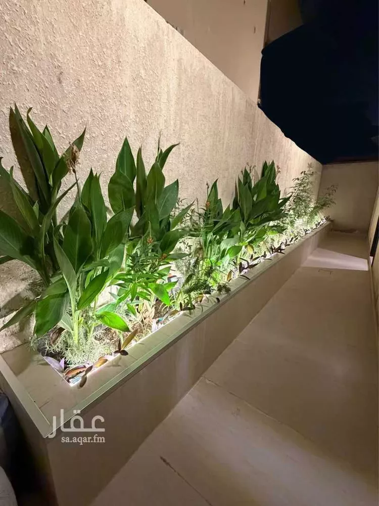 Apartment for Rent in Riyadh Al Aqiq