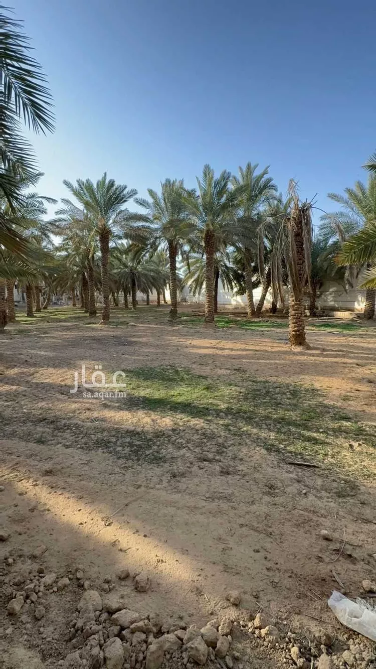 أرض للبيع في شارع مجالد ابن مسعود, حي النخيل, مدينة حريملاء, منطقة الرياض صورة 3