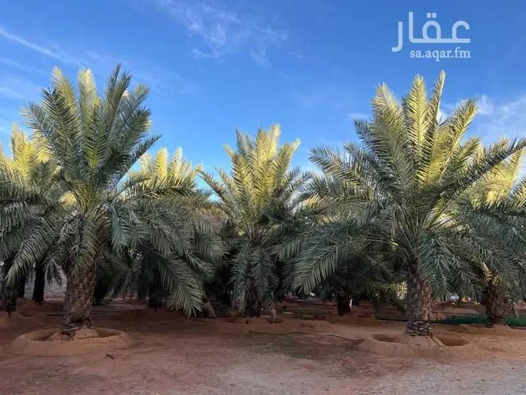استراحة للبيع في شارع عثمان بن العاص, مدينة عيون الجواء, منطقة القصيم صورة 5