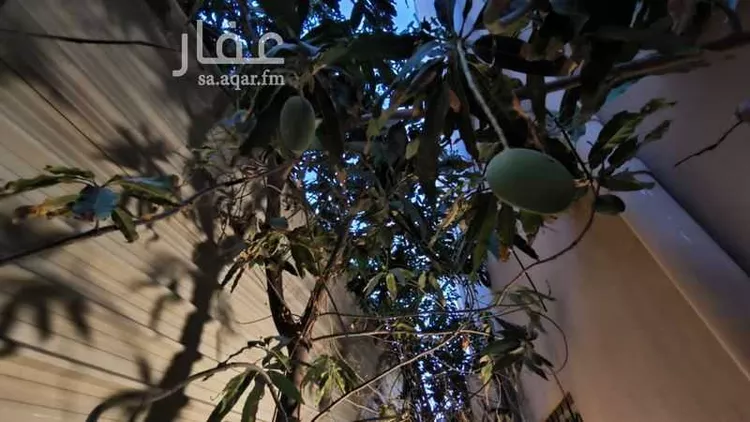 فيلا للبيع في شارع شداد بن اسيد, حي الحمراء, مدينة الجبيل, المنطقة الشرقية صورة 5