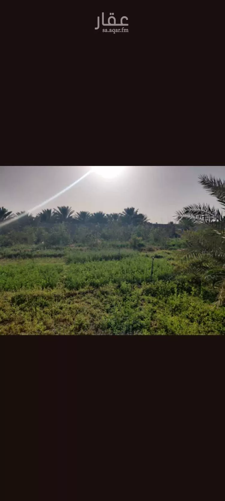 استراحة للإيجار في شارع 3049257, حي روافة, مدينة ضرما, منطقة الرياض صورة 4