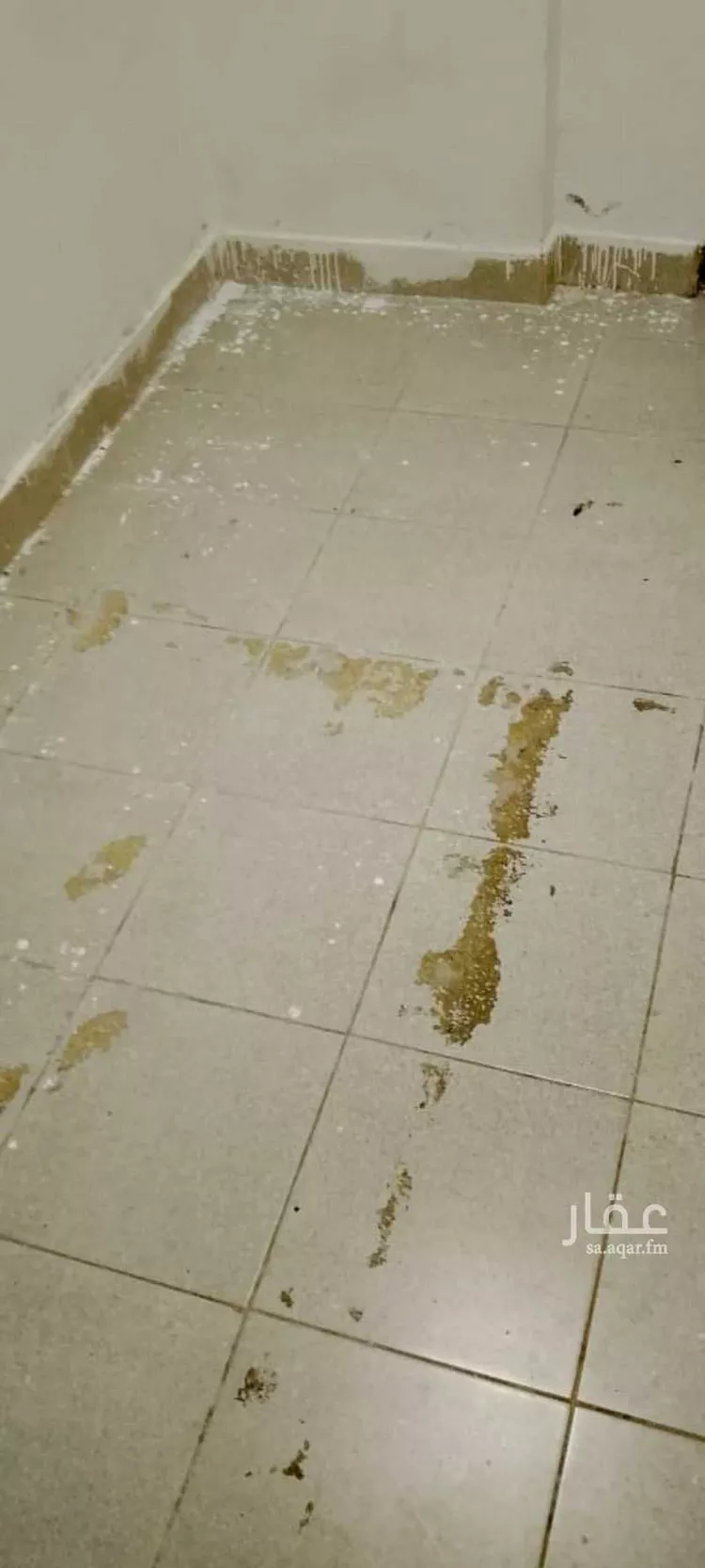 غرفة للإيجار في شارع روض ، حي الورود ، جدة ، جدة صورة 5