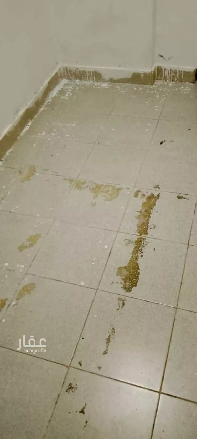 غرفة للإيجار في شارع روض ، حي الورود ، جدة ، جدة صورة 3