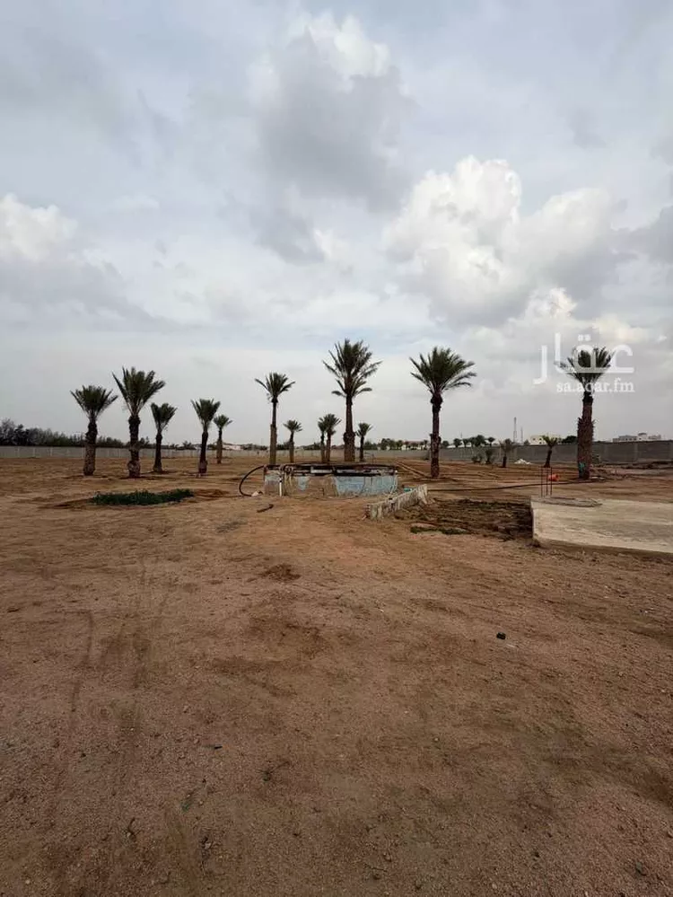 مزرعة للبيع في شارع حريث ابن ياسر العبسي, حي القهيب, مدينة الطائف, منطقة مكة المكرمة صورة 3