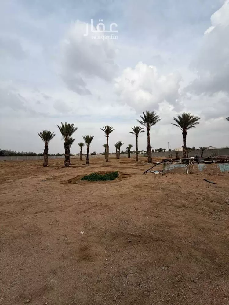 مزرعة للبيع في شارع حريث ابن ياسر العبسي, حي القهيب, مدينة الطائف, منطقة مكة المكرمة صورة 4