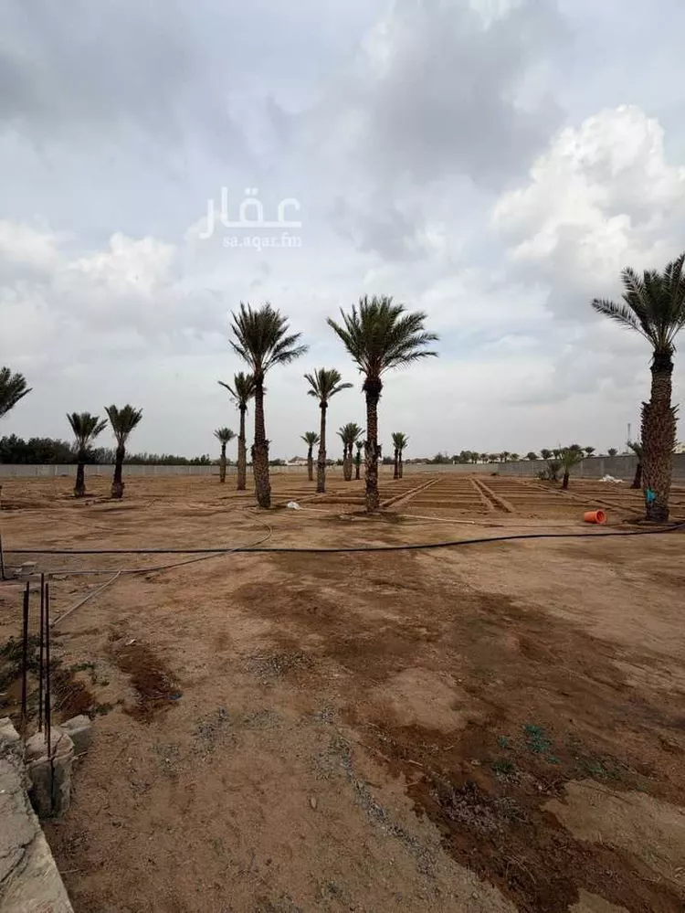 مزرعة للبيع في شارع حريث ابن ياسر العبسي, حي القهيب, مدينة الطائف, منطقة مكة المكرمة صورة 5