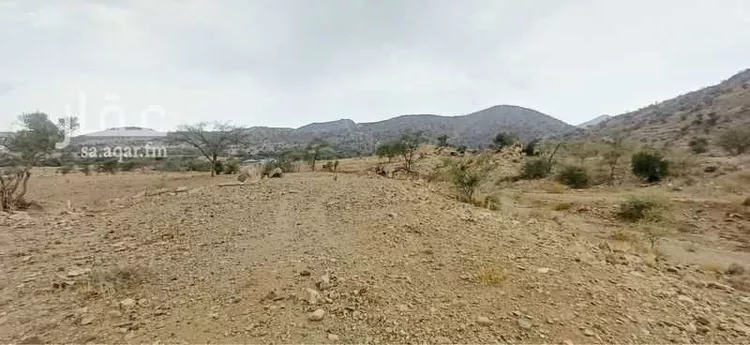 أرض للبيع في حي الأرجوان, مدينة بلجرشي, منطقة الباحة صورة 3