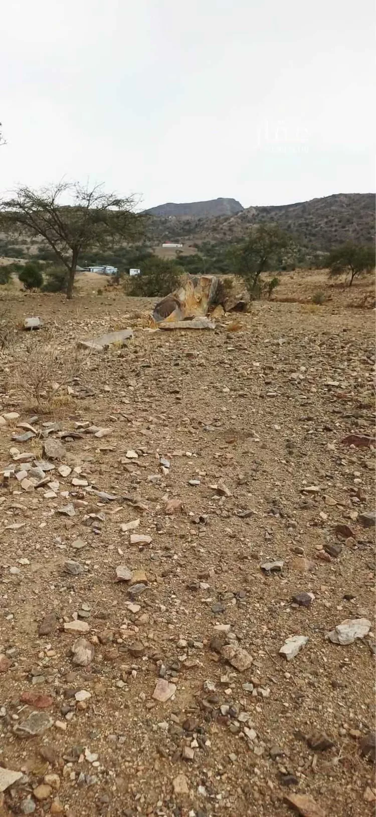 أرض للبيع في حي الأرجوان, مدينة بلجرشي, منطقة الباحة صورة 2
