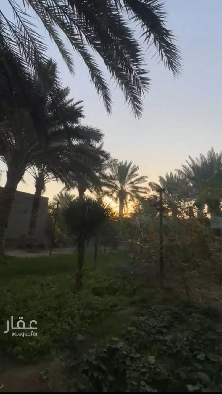 أرض للبيع في شارع جرد 6, مدينة جرد, منطقة الباحة 6