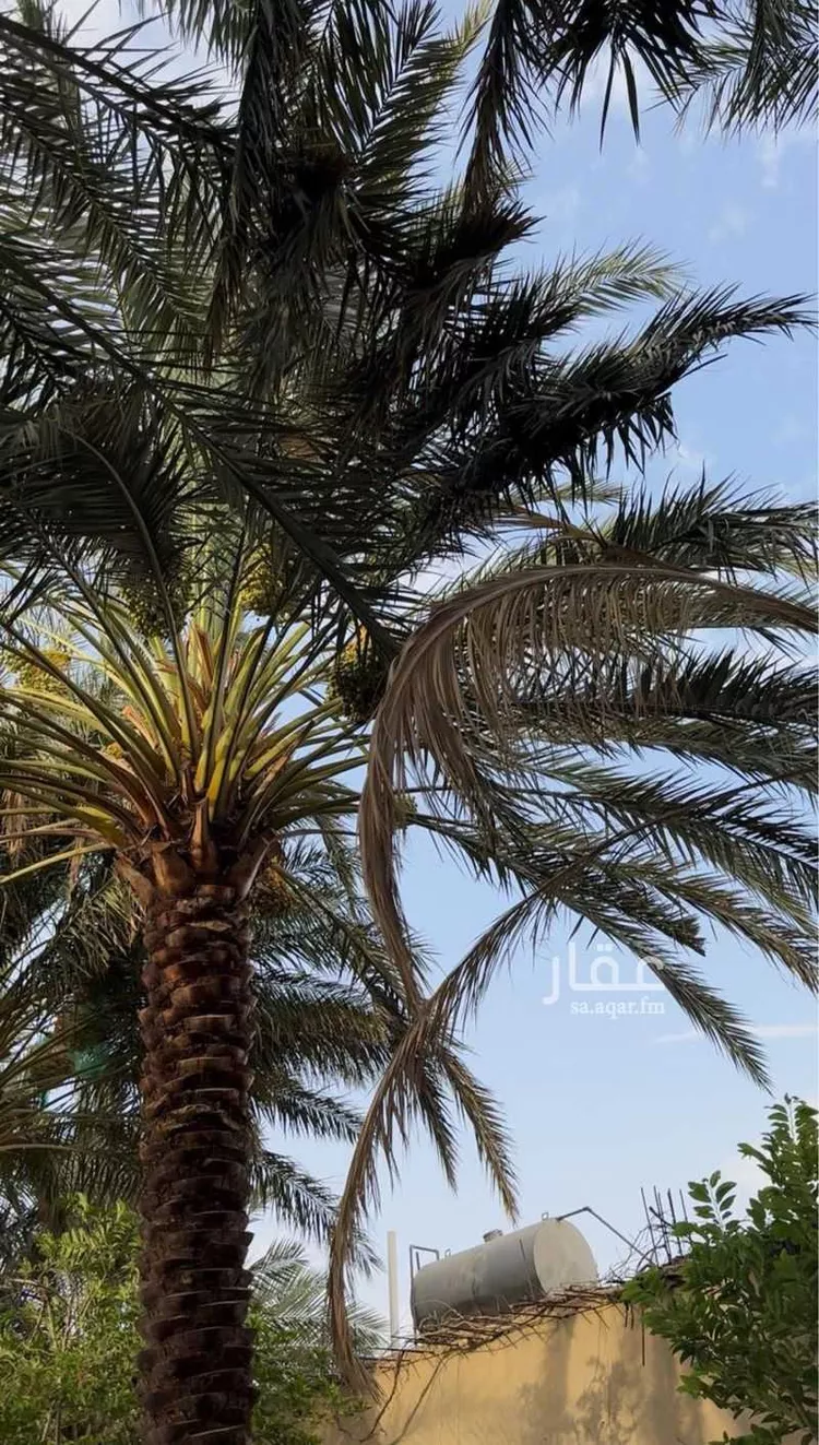 أرض للبيع في شارع جرد 6, مدينة جرد, منطقة الباحة 10