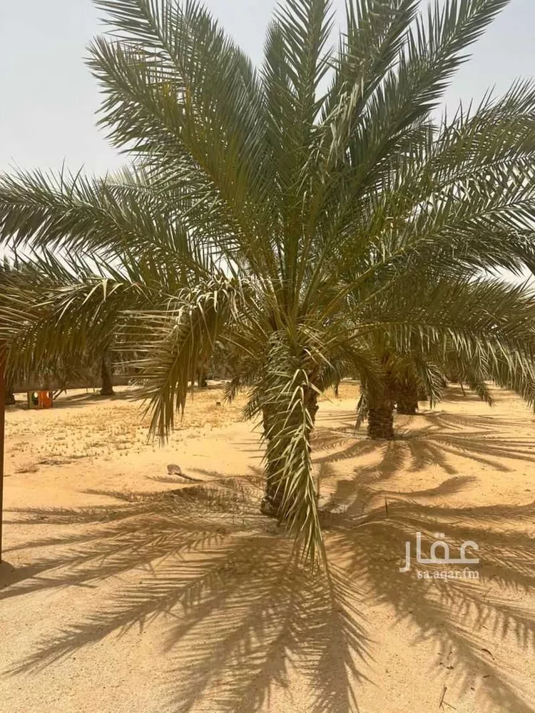 استراحة للبيع في شارع الاندلس, حي العريفيه, مدينة بريدة, منطقة القصيم صورة 4