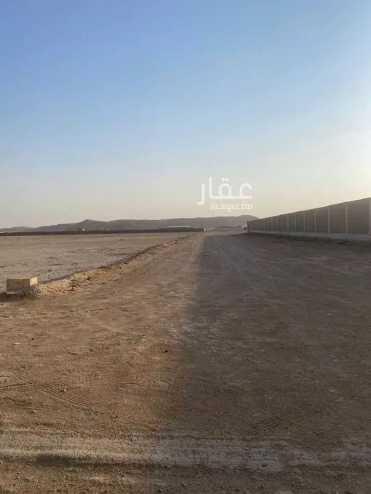 أرض للبيع في شارع 0000000, حي مزارع العلاوه وماحولها, مدينة مزارع العلاوه وماحولها, منطقة الرياض صورة 3