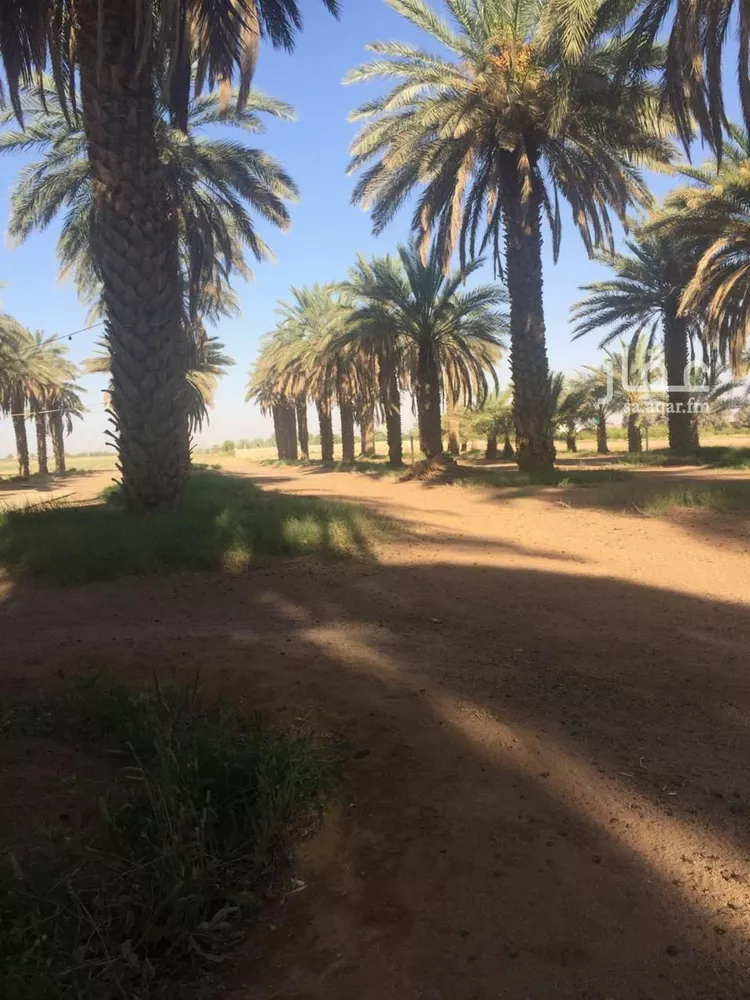 مزرعة للبيع في شارع القفيعى 282, مدينة القفيعى, منطقة حائل صورة 3