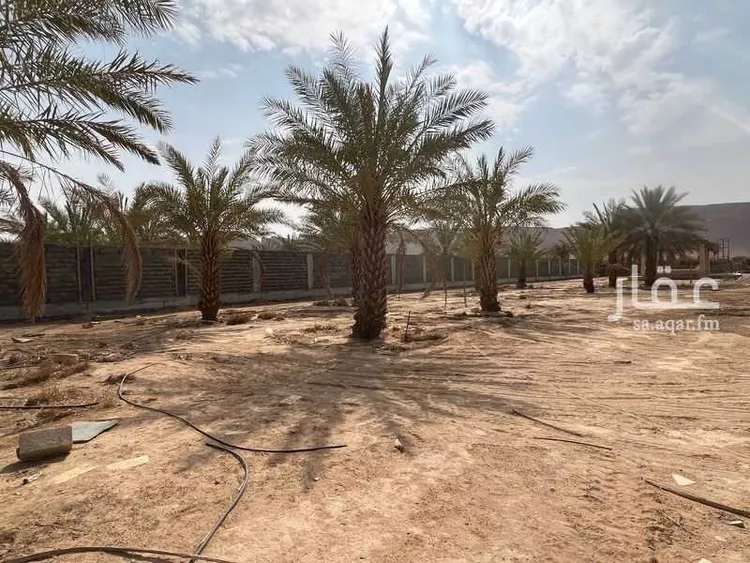 استراحة للبيع في شارع هجرة الاوسط 1026, حي تجمع سكاني الحنية, مدينة تجمع سكاني الحنية, منطقة الرياض صورة 3