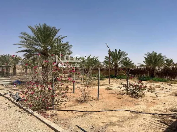 استراحة للبيع في شارع هجرة الاوسط 1026, حي تجمع سكاني الحنية, مدينة تجمع سكاني الحنية, منطقة الرياض صورة 2