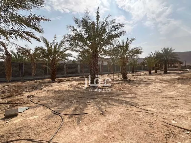 استراحة للبيع في شارع هجرة الاوسط 1026, حي تجمع سكاني الحنية, مدينة تجمع سكاني الحنية, منطقة الرياض صورة 3