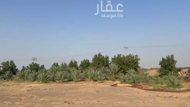 مزرعة للبيع في وادي بيضان ، المهد صورة 2