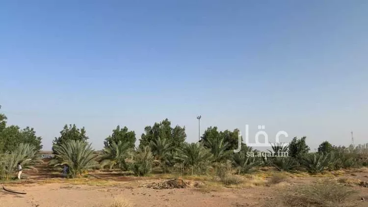مزرعة للبيع في وادي بيضان ، المهد صورة 3