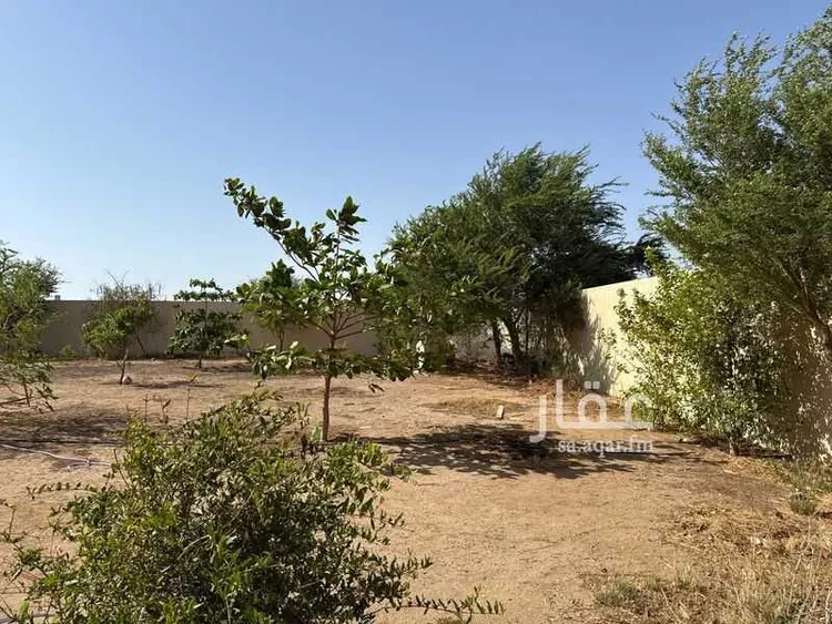 أرض للإيجار في شارع 172706, حي الفنار, مدينة جدة, منطقة مكة المكرمة صورة 2