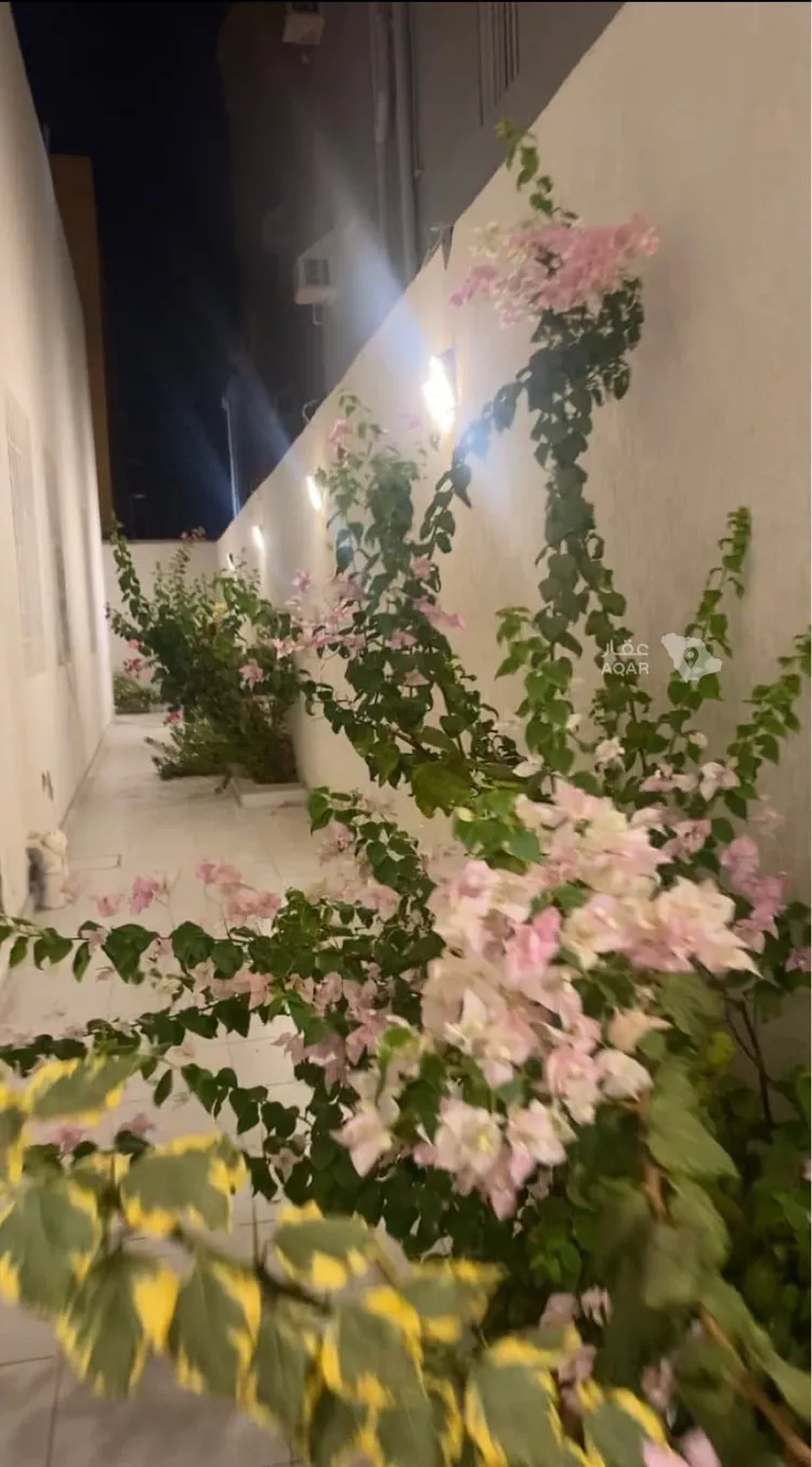 فيلا للإيجار في شارع عبدالرحمن هبه الله ، حي الرياض ، جدة ، جدة