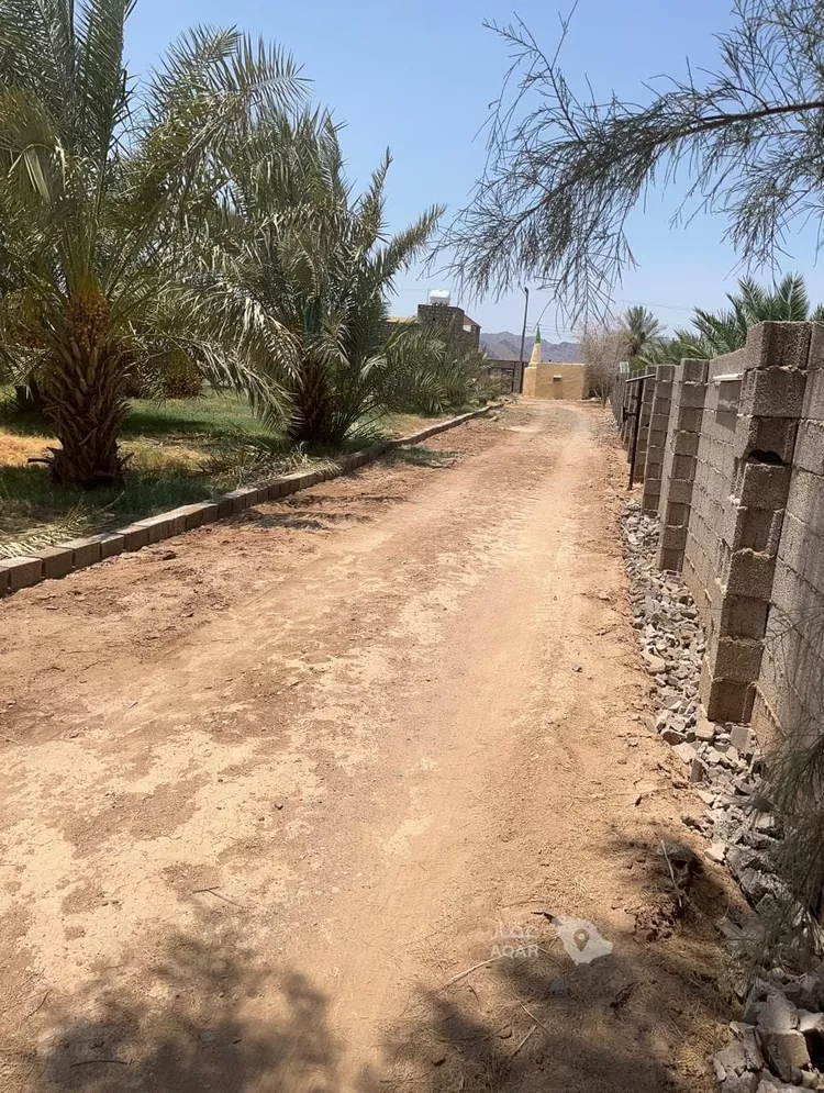 مزرعة للبيع في شارع المليليح 102, حي المليليح, مدينة المدينة المنورة, منطقة المدينة المنورة صورة 4