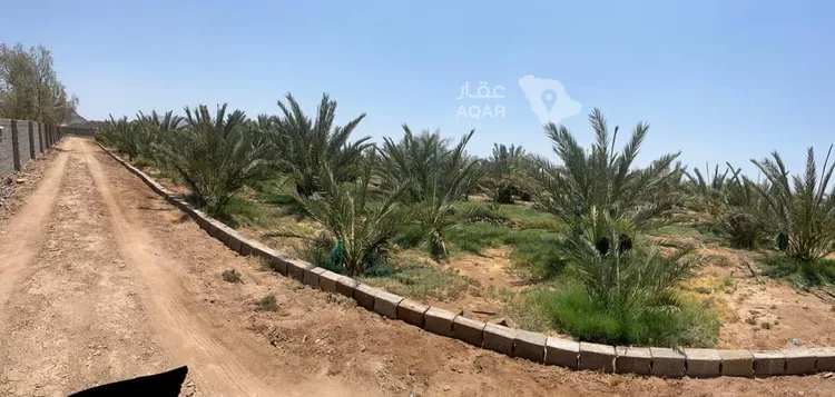 مزرعة للبيع في شارع المليليح 102, حي المليليح, مدينة المدينة المنورة, منطقة المدينة المنورة صورة 3