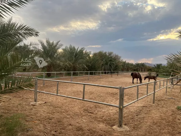 Farm for Sale in Medina Al Balqaa
