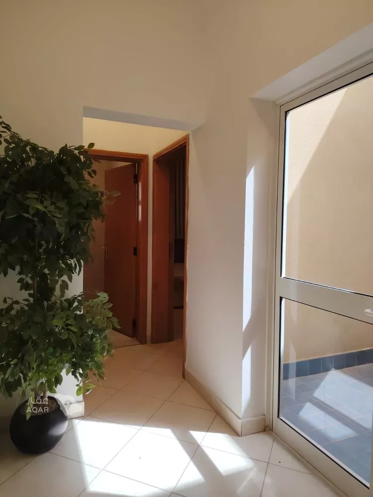 شقة للإيجار في شارع ابن أبي الرجاء ، حي الملز ، الرياض ، منطقة الرياض صورة 4