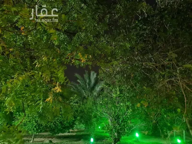 شاليه واستراحة للحجز في شاليه المطر ، صفوى ، القطيف 9