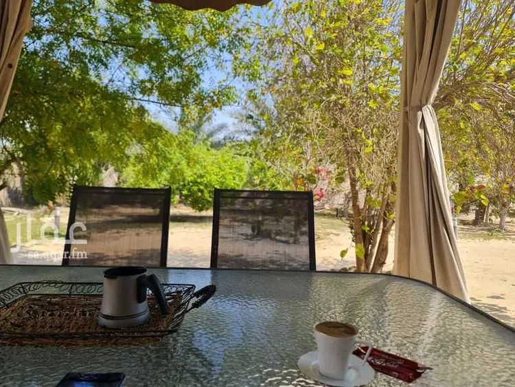 شاليه واستراحة للحجز في شاليه المطر ، صفوى ، القطيف 7