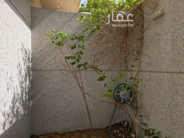 فيلا للإيجار في شارع مليح بن طريف, حي المهدية, مدينة الرياض, منطقة الرياض 6