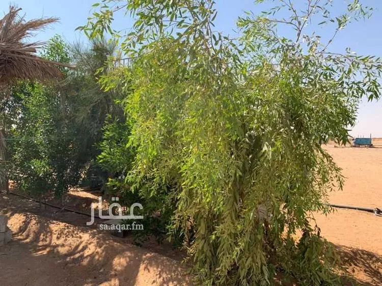 مزرعة للبيع في قبه ، الاسياح 6