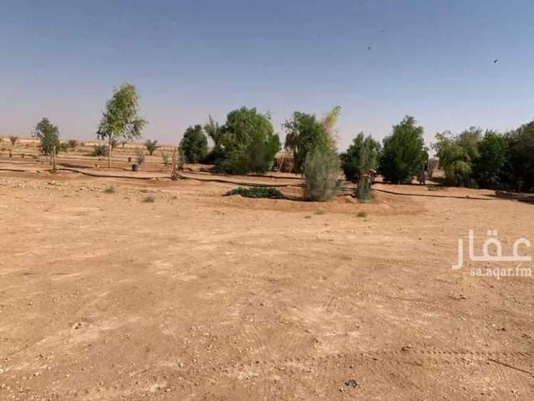 مزرعة للبيع في شارع علي بن ابي طالب, حي النزهة, مدينة قبة, منطقة القصيم صورة 5