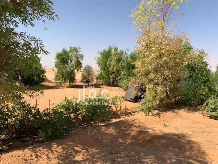 مزرعة للبيع في شارع علي بن ابي طالب, حي النزهة, مدينة قبة, منطقة القصيم صورة 4
