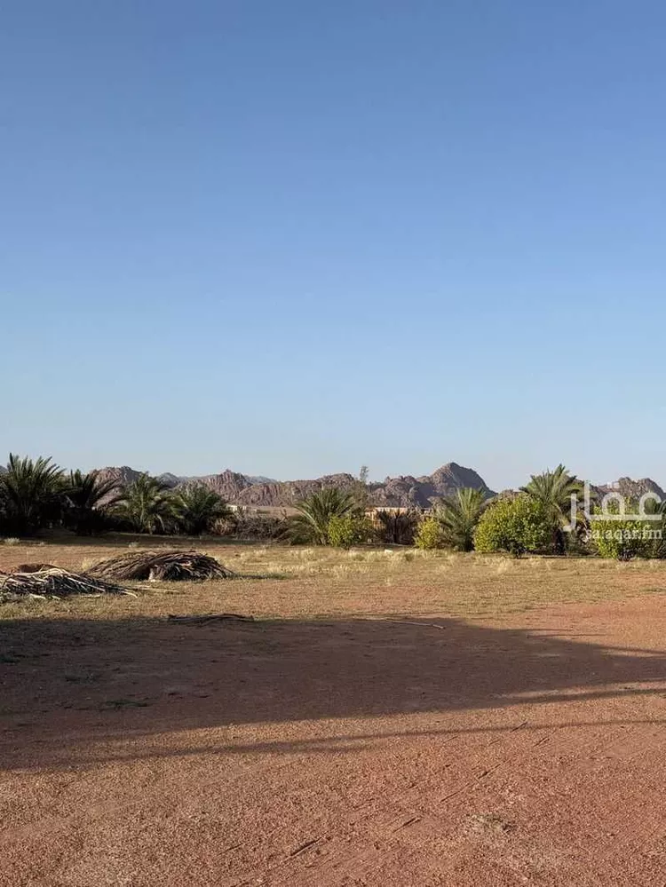 مزرعة للبيع في الصبيحية ، منطقة حائل صورة 3