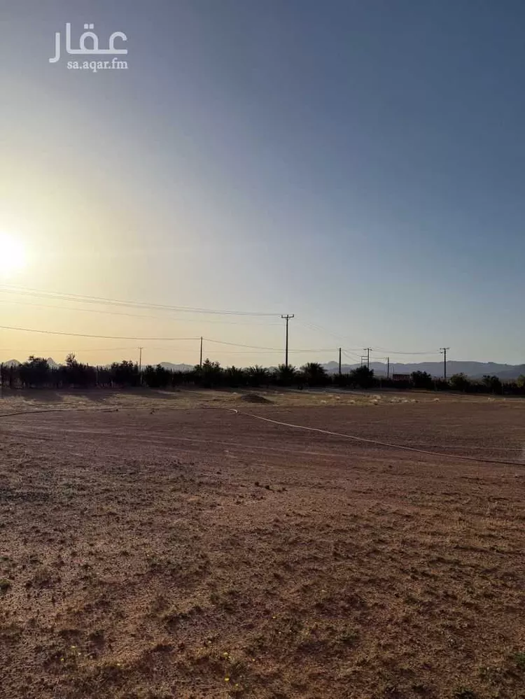 مزرعة للبيع في الصبيحية ، منطقة حائل صورة 2