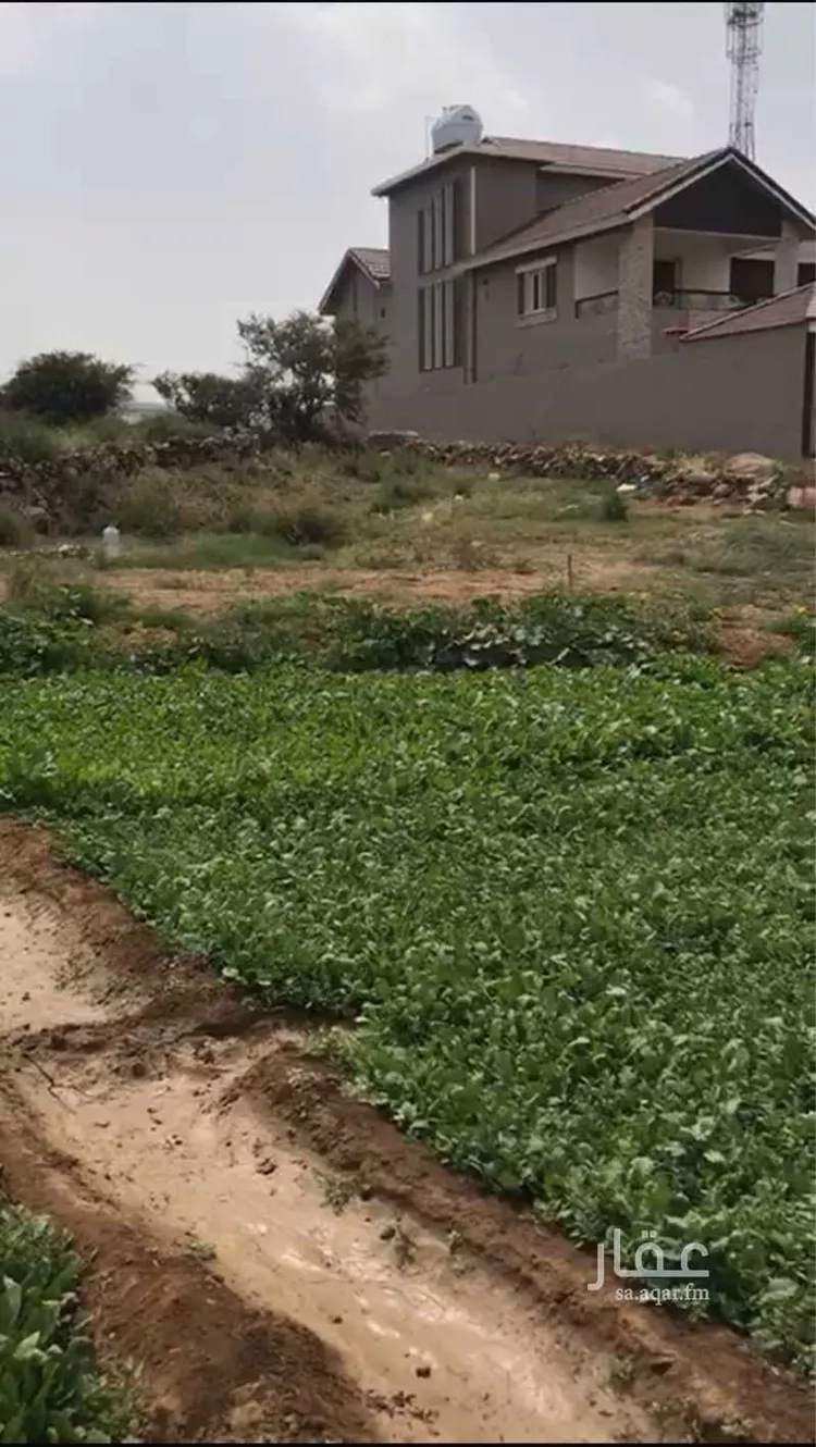 أرض للبيع في شارع ممر العمق, حي الربوة, مدينة أبها, منطقة عسير صورة 2