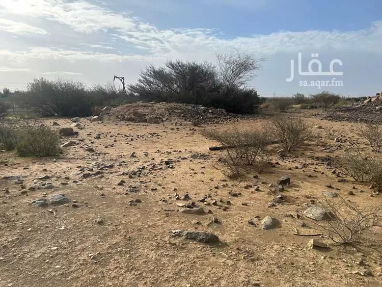 Farm for Sale in Al Kamil Al Kamil 7